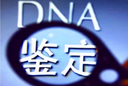 安徽省DNA亲子鉴定正规机构在哪里，安徽省正规亲子鉴定中心多少钱一次