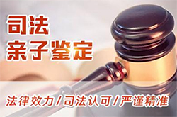安徽省司法亲子鉴定要如何办理，安徽省司法亲子鉴定电话地址