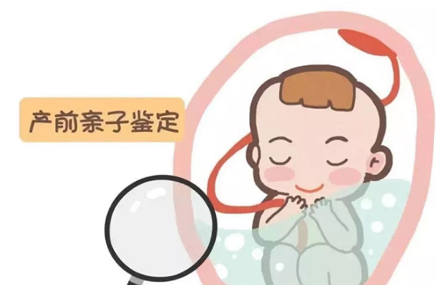 安徽省刚怀孕怎么确认孩子是谁的,
