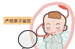安徽省刚怀孕怎么确认孩子是谁的【预约咨询】