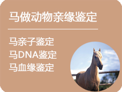 安徽省马做动物亲缘鉴定