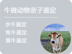 安徽省牛做动物亲子鉴定