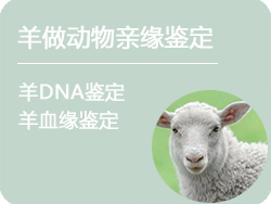 安徽省羊做动物亲缘鉴定