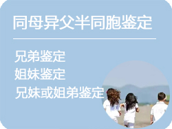 安徽省同母异父半同胞鉴定