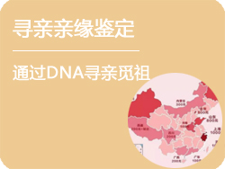 安徽省寻亲亲缘鉴定
